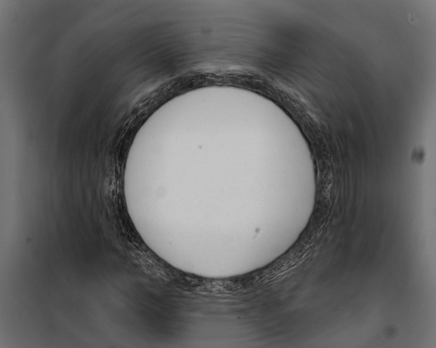 X0000099970966200806201358