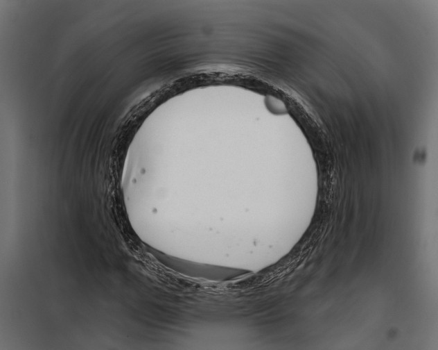 X0000099970967200806201358