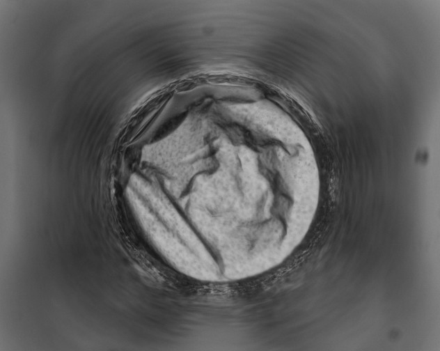 X0000099970968200806201358