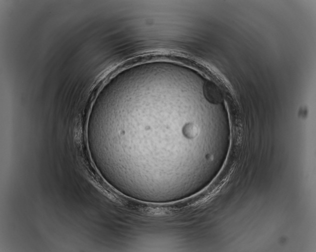 X0000099970969200806201358