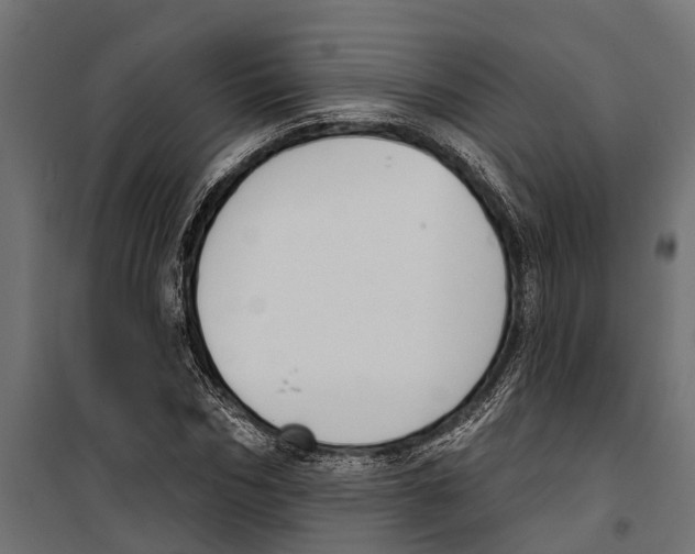 X0000099970970200806201358