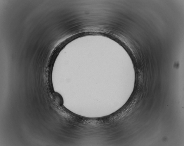 X0000099970971200806201358