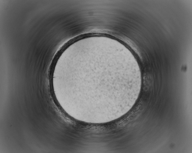 X0000099970972200806201358