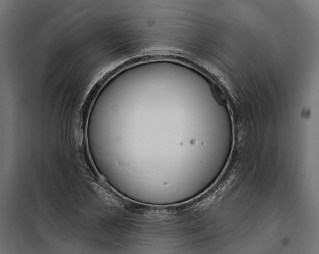 X0000099970973200806201358