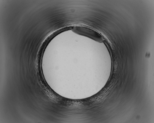 X0000099970975200806201357