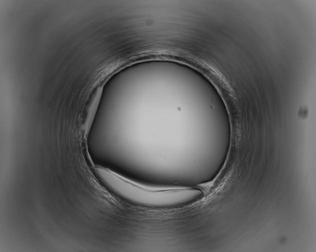 X0000099970977200806201357