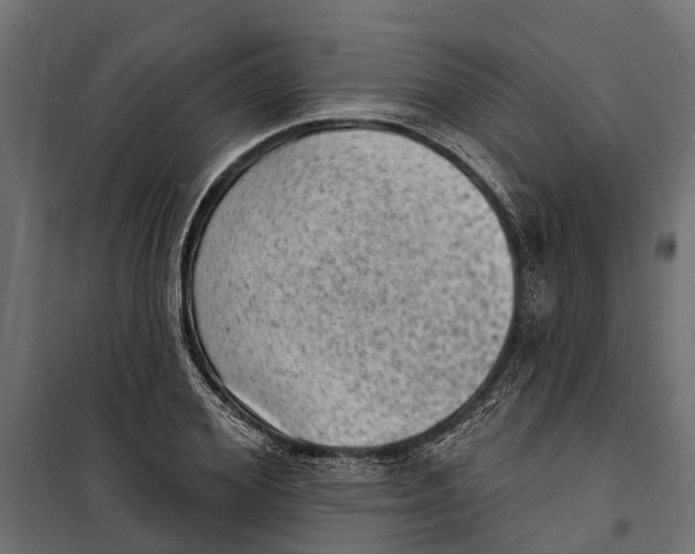 X0000099970980200806201357