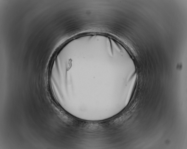 X0000099970982200806201357