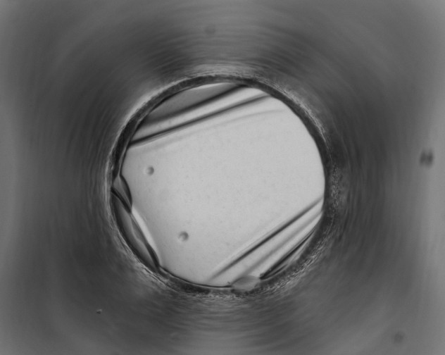 X0000099970983200806201357