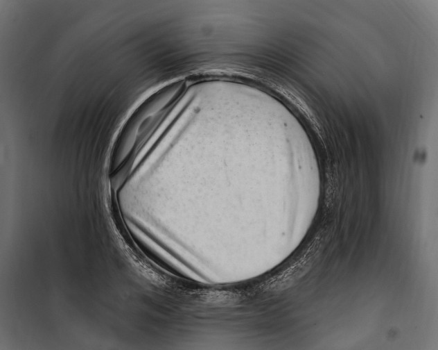 X0000099970984200806201357