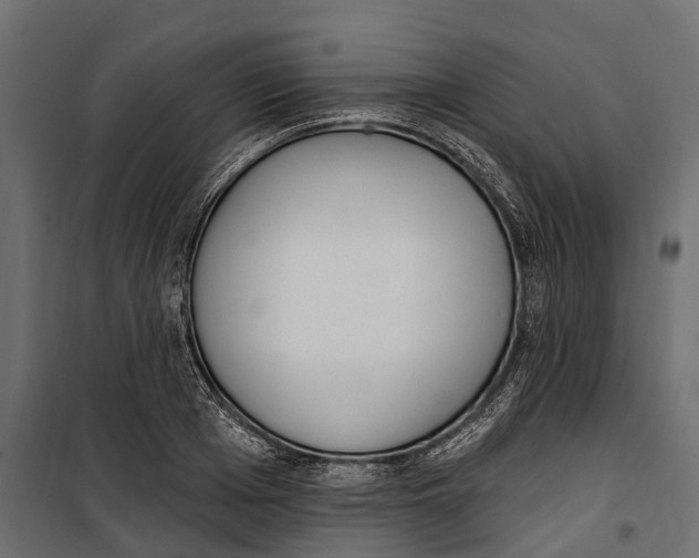 X0000099970985200806201357