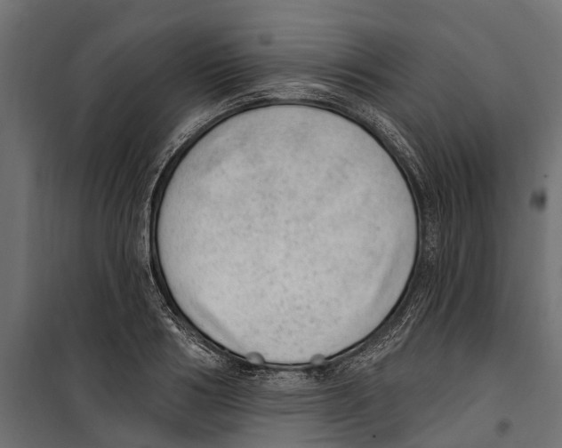 X0000099970986200806201357