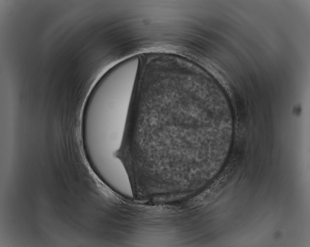 X0000099970988200806201357