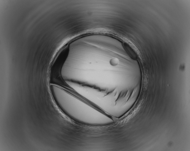 X0000099970989200806201357