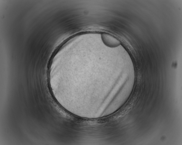 X0000099970990200806201357