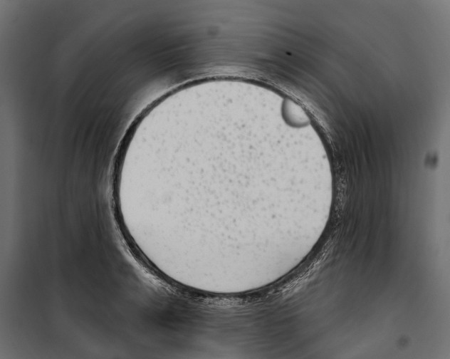 X0000099970991200806201357