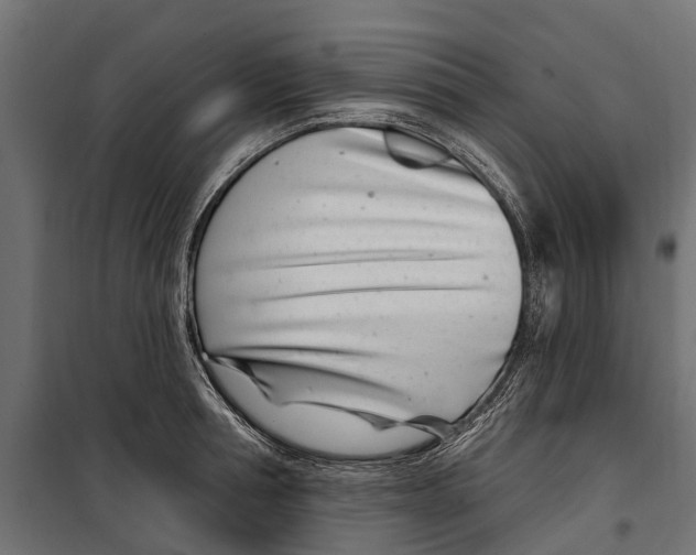 X0000099970994200806201357