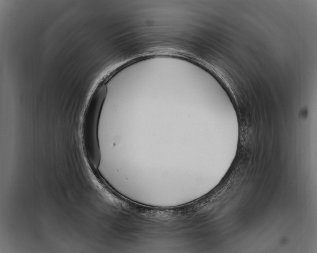 X0000099970995200806201357