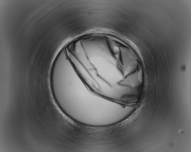 X0000099970997200806201357