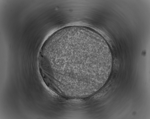 X0000099970998200806201357