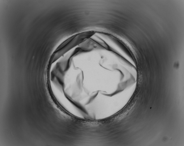 X0000099970999200806201357