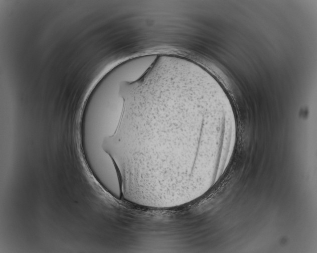 X0000099971000200806201357