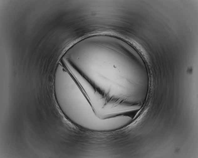 X0000099971001200806201357