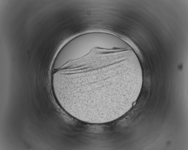 X0000099971004200806201357