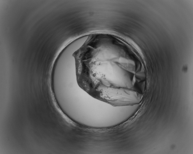 X0000099971005200806201357