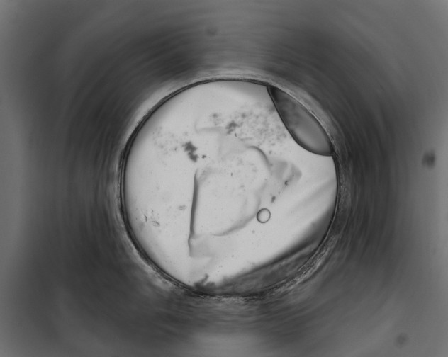 X0000099971006200806201357