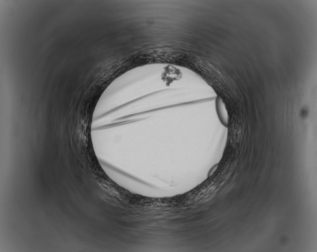 X0000099971010200806201356