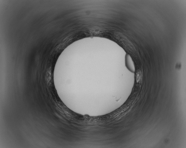 X0000099971011200806201356