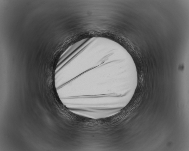 X0000099971012200806201356