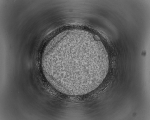 X0000099971015200806201356