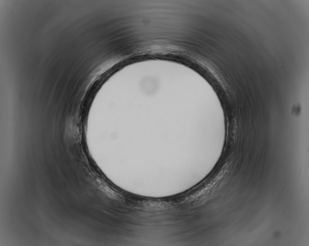 X0000099971018200806201356