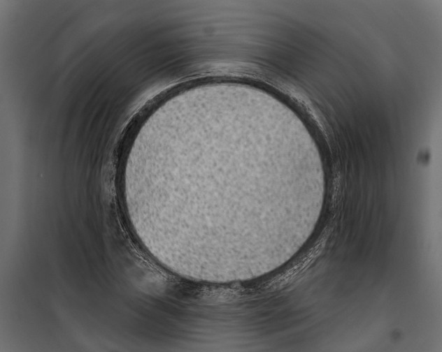 X0000099971019200806201356