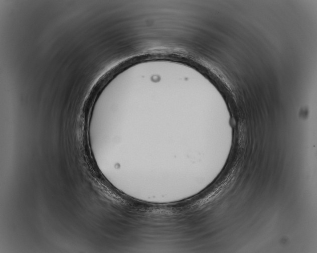 X0000099971021200806201356