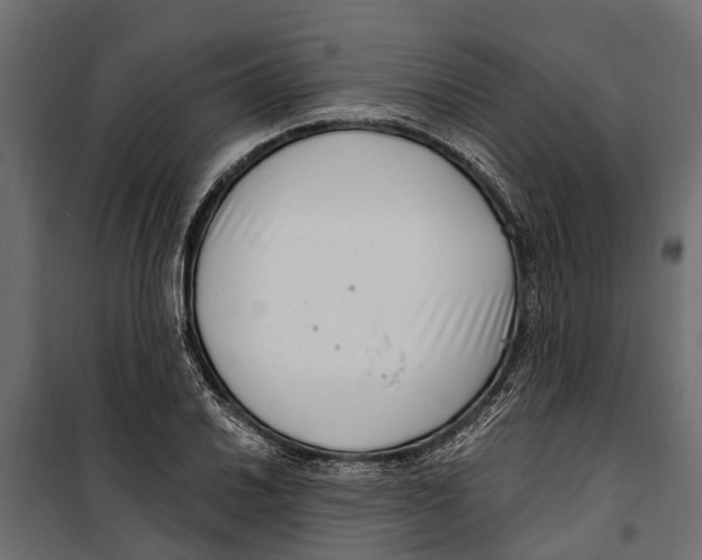 X0000099971030200806201356