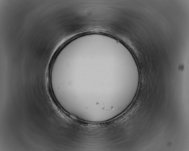 X0000099971032200806201357