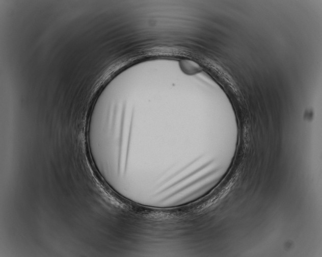 X0000099971033200806201357