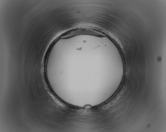 X0000099971037200806201357