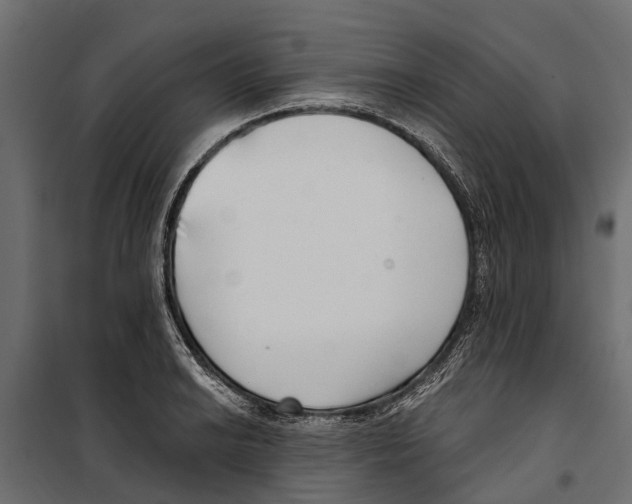 X0000099971038200806201357