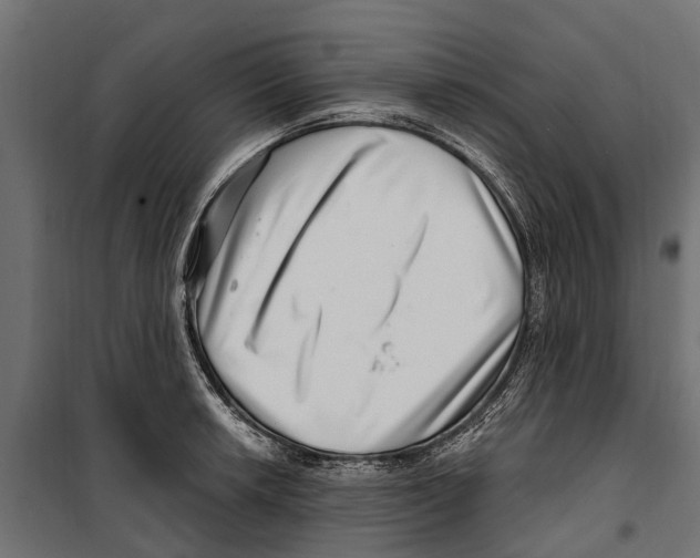 X0000099971042200806201357