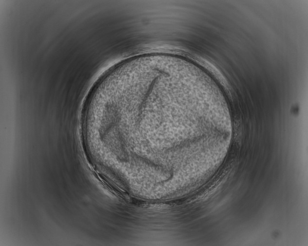 X0000099971043200806201357