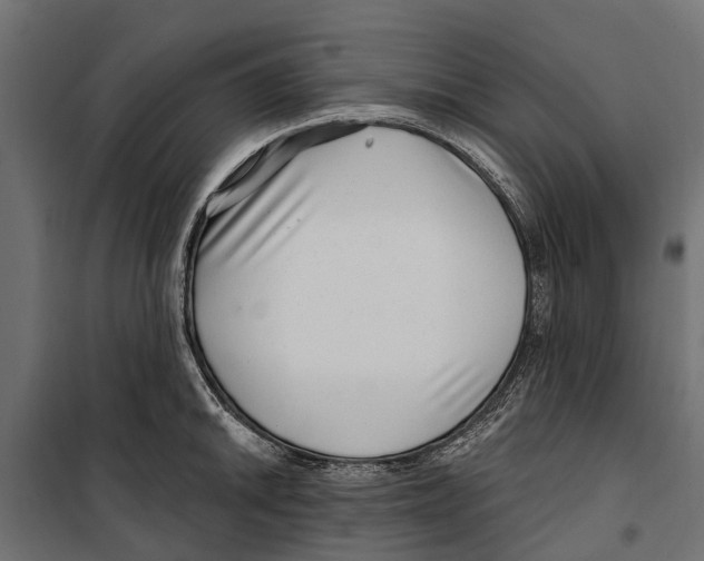 X0000099971046200806201357