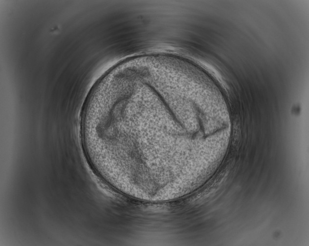 X0000099971047200806201357