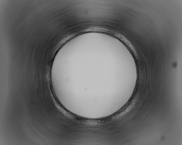 X0000099971049200806201357