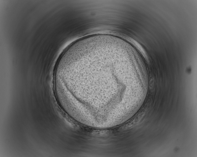 X0000099971051200806201357