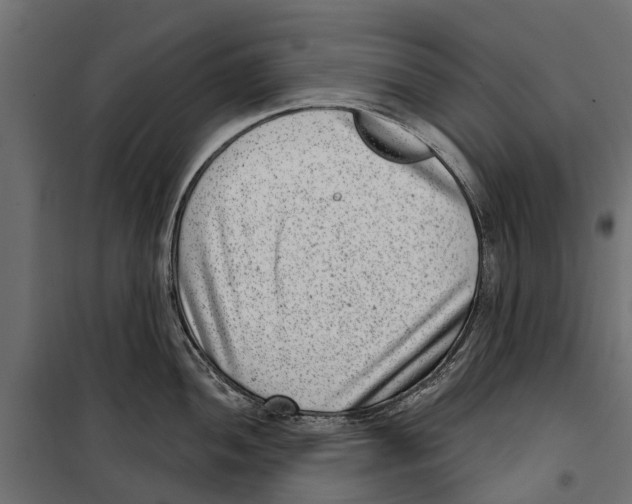 X0000099971052200806201357