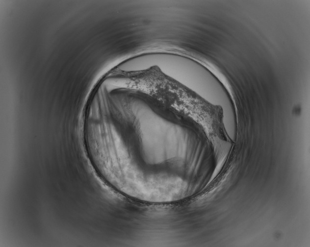 X0000099971053200806201357